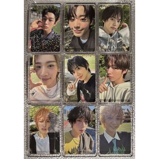 WHO WE ARE QR field ver.