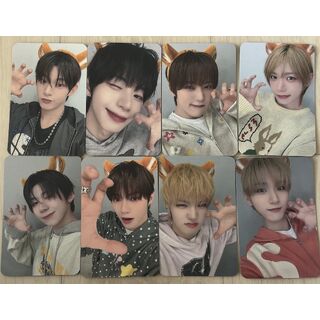 Naturally Music 0221 FSE (A ver / Tiger) photocard set