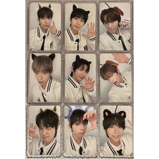 Universe League Nemo photocards 'Animal' ver